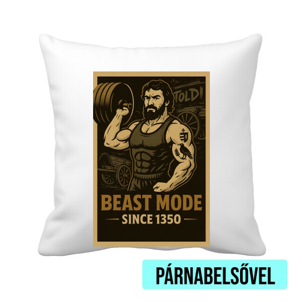 Párnahuzat béléssel