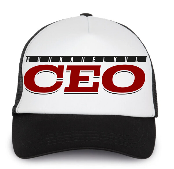 Trucker baseball sapka