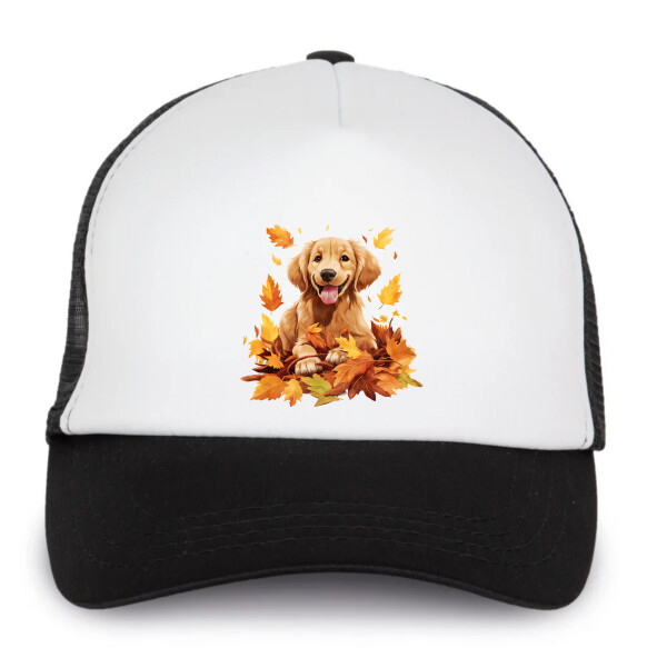 Trucker baseball sapka