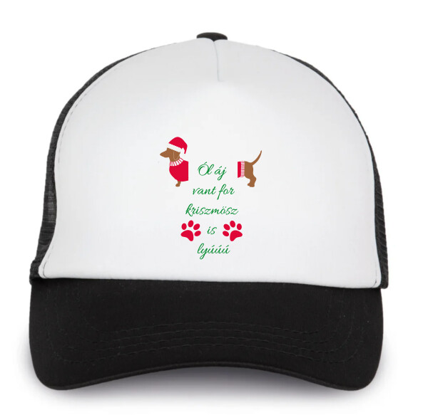 Trucker baseball sapka