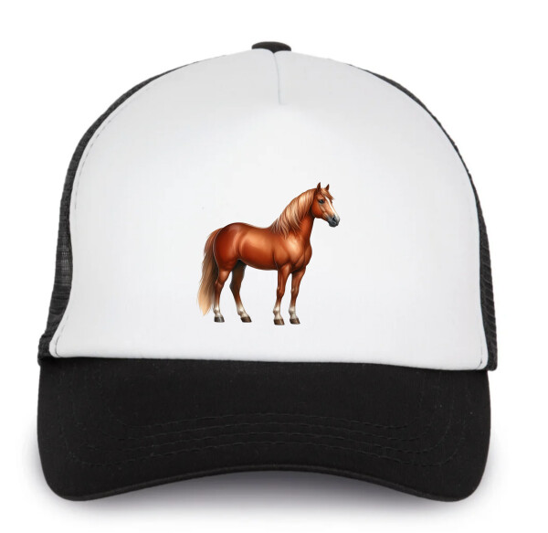 Trucker baseball sapka