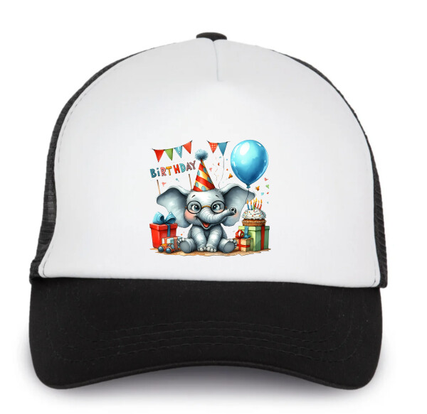 Trucker baseball sapka