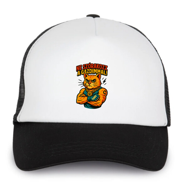 Trucker baseball sapka