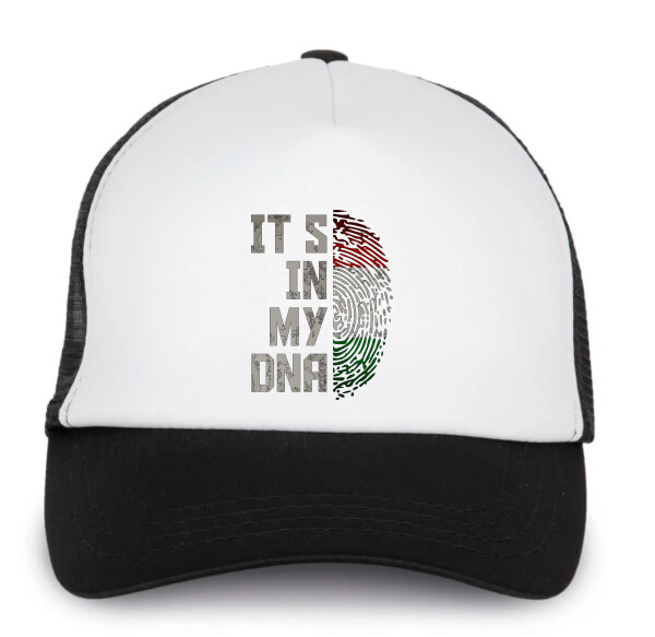 Trucker baseball sapka