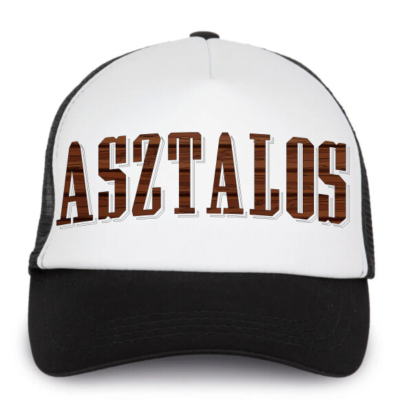 Trucker baseball sapka