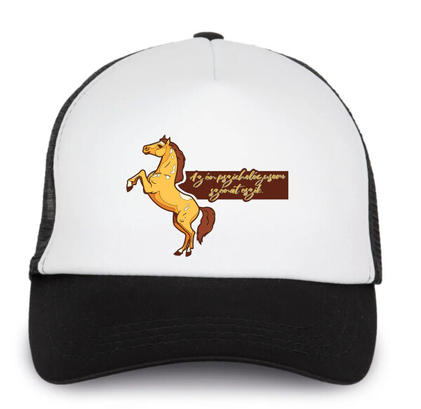 Trucker baseball sapka