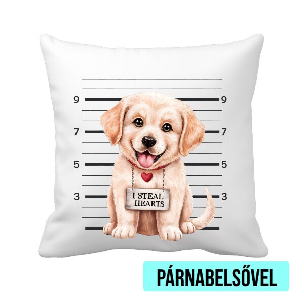 Párnahuzat béléssel