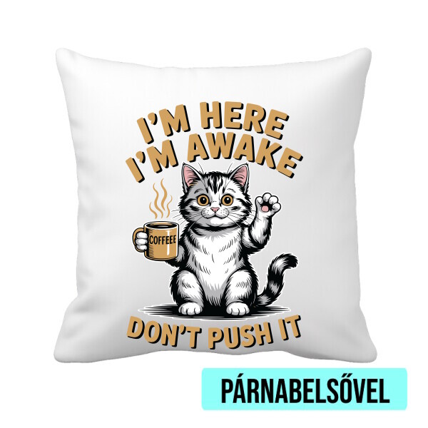 Párnahuzat béléssel