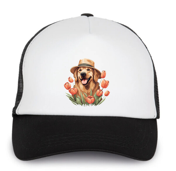 Trucker baseball sapka