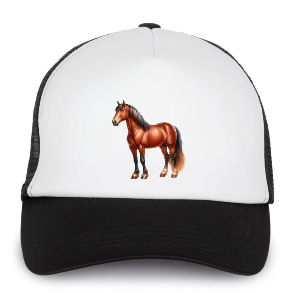 Trucker baseball sapka