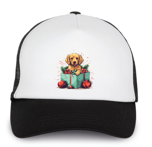 Trucker baseball sapka