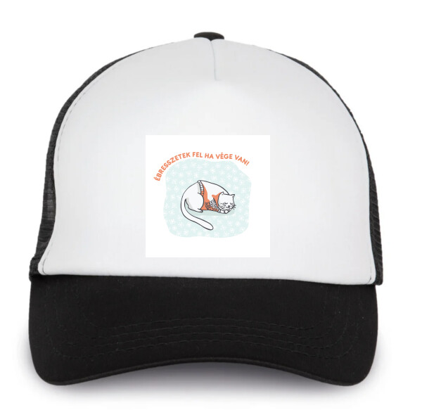 Trucker baseball sapka