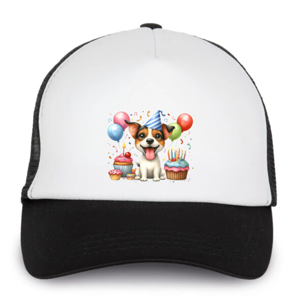 Trucker baseball sapka