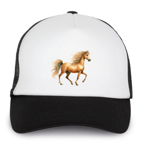 Trucker baseball sapka