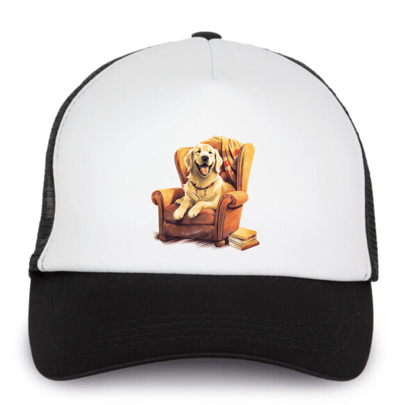 Trucker baseball sapka