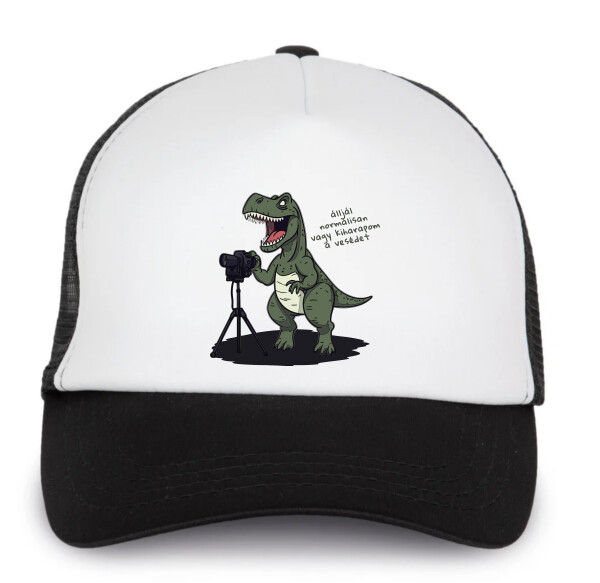 Trucker baseball sapka