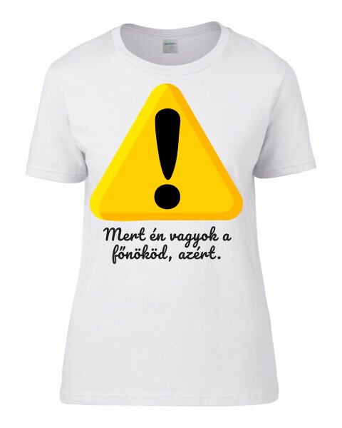 Egyedi Női Póló