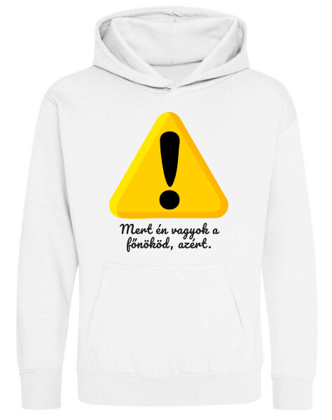 Kapucnis belebújós gyerek pulóver