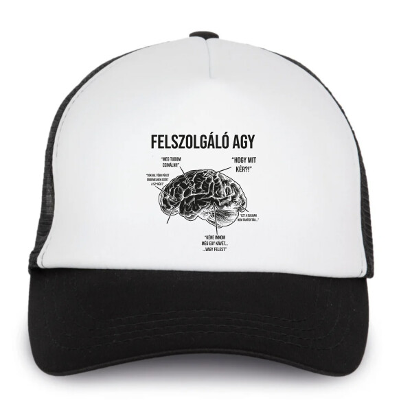 Trucker baseball sapka