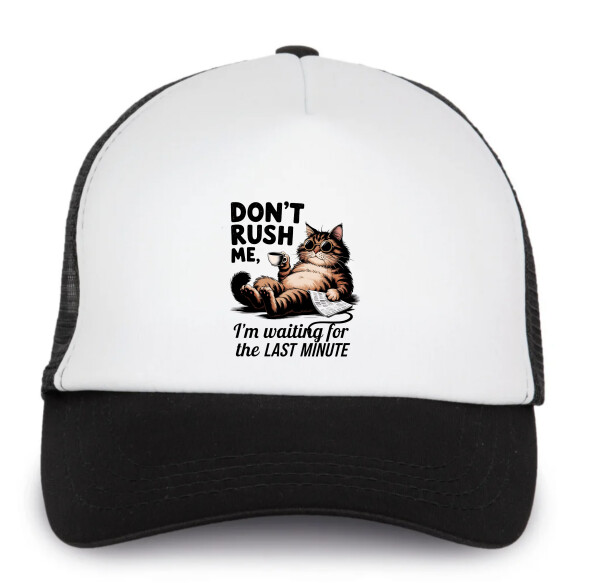 Trucker baseball sapka