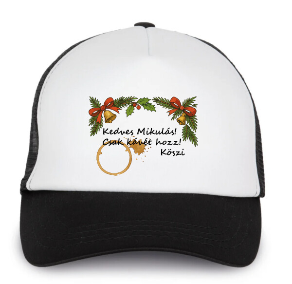 Trucker baseball sapka