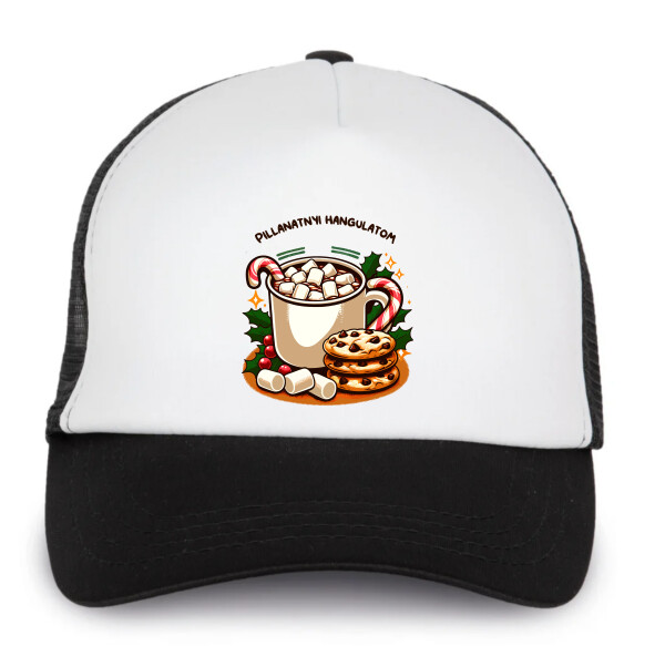 Trucker baseball sapka