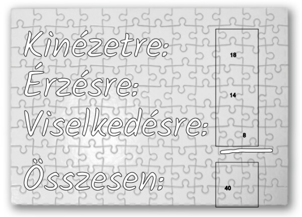 Puzzle - Kirakó