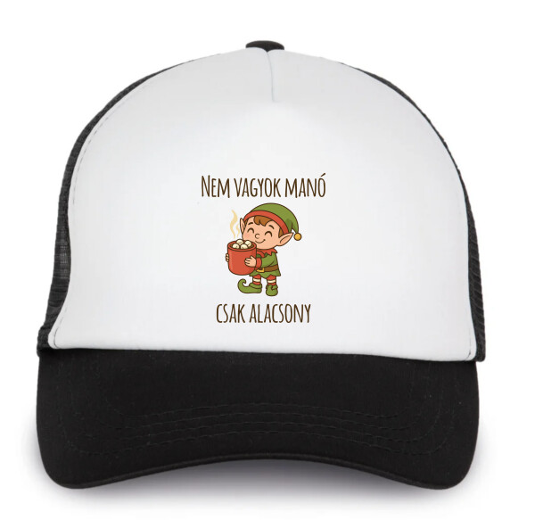 Trucker baseball sapka