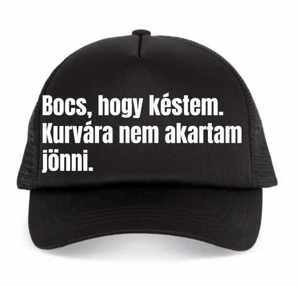 Trucker baseball sapka