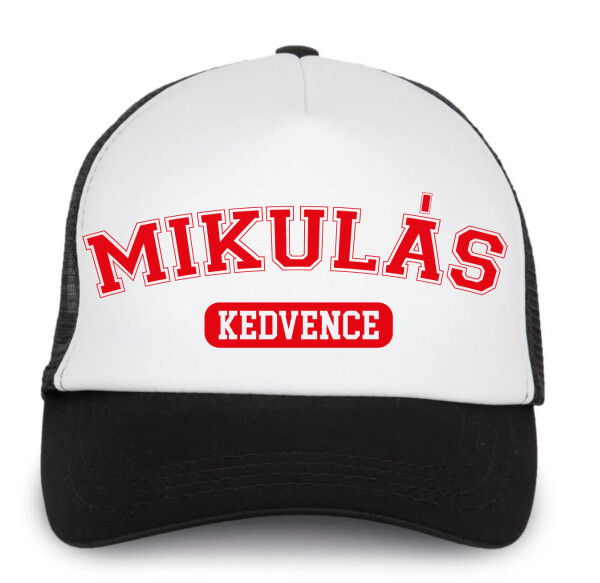 Trucker baseball sapka