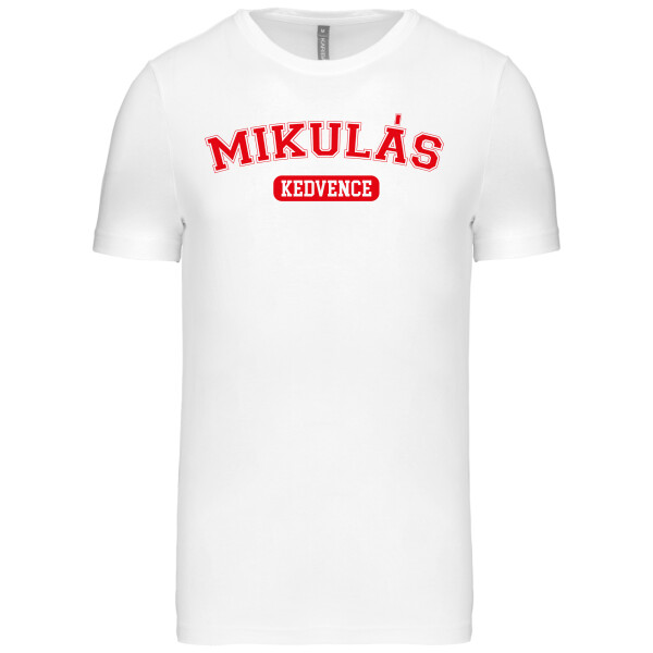 Egyedi Férfi Prémium Póló