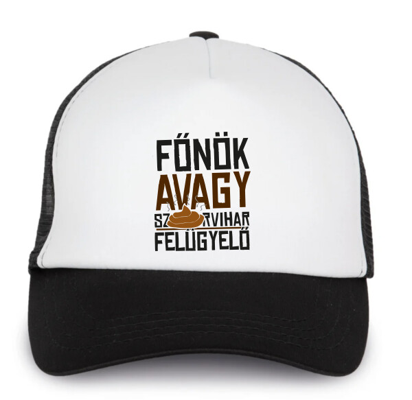 Trucker baseball sapka