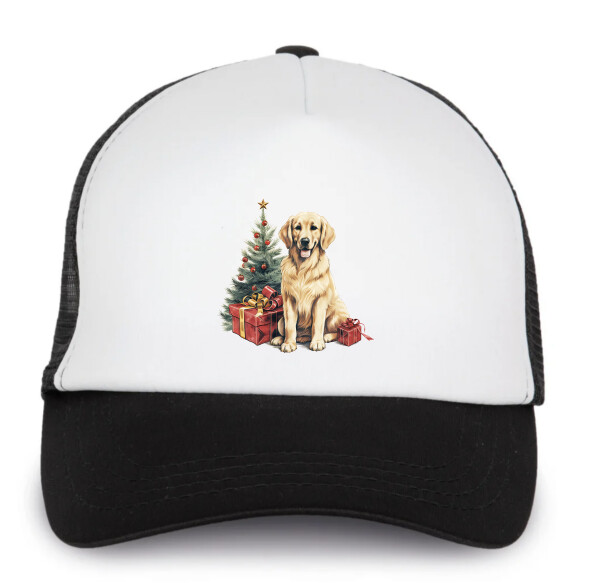 Trucker baseball sapka